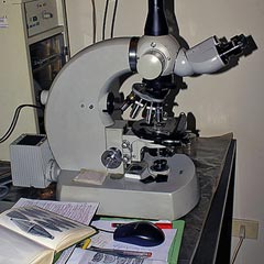 Quién inventó microscopio? - Saberia